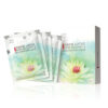 I. SKIN Focus Snow Lotus Extra Recovery & Rejuvenating Mask