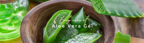 article_aloevera