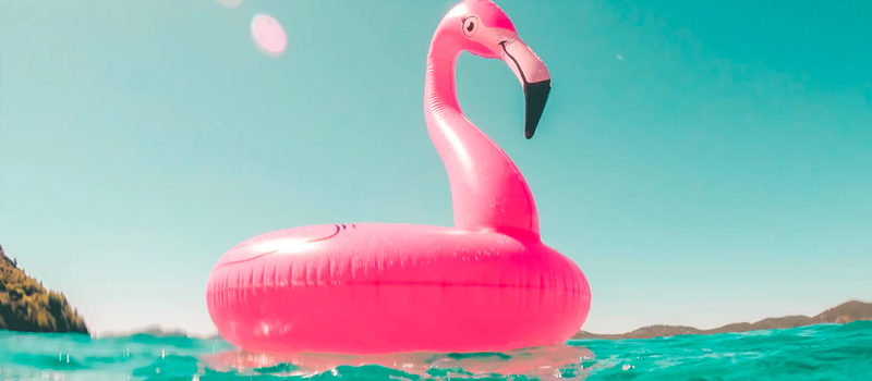 a flamingo lifebuoy floating on the sea